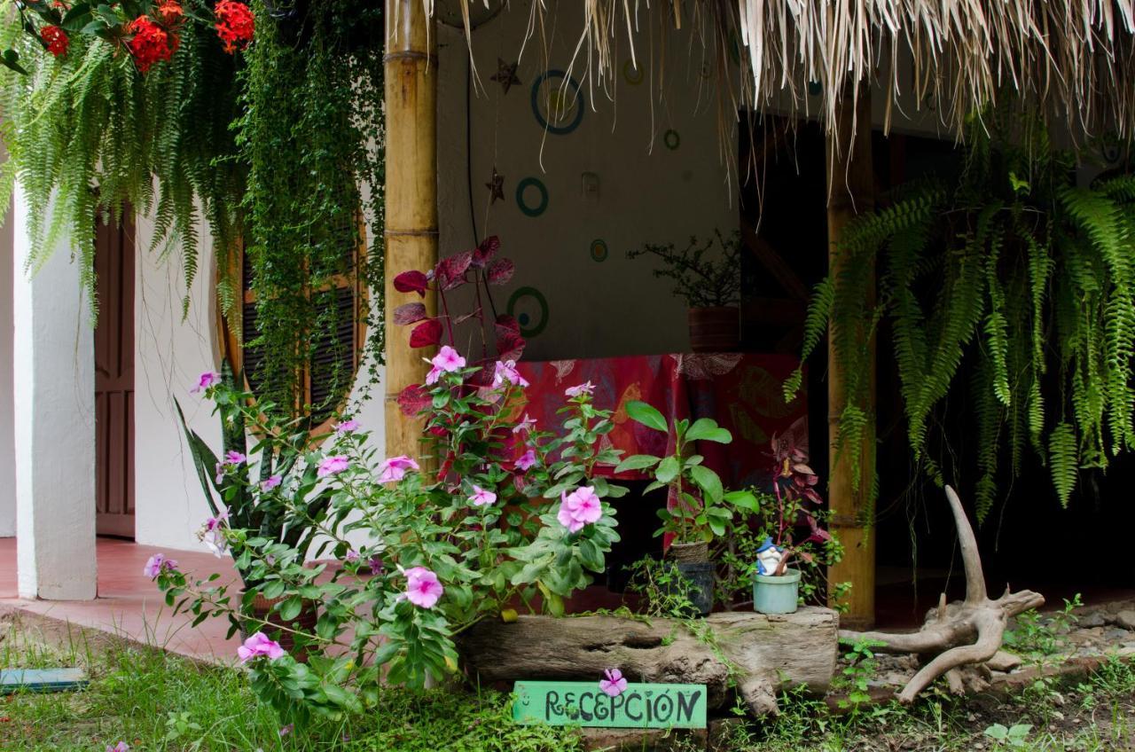 Hostal Corazon De Tagua Паломино Екстериор снимка