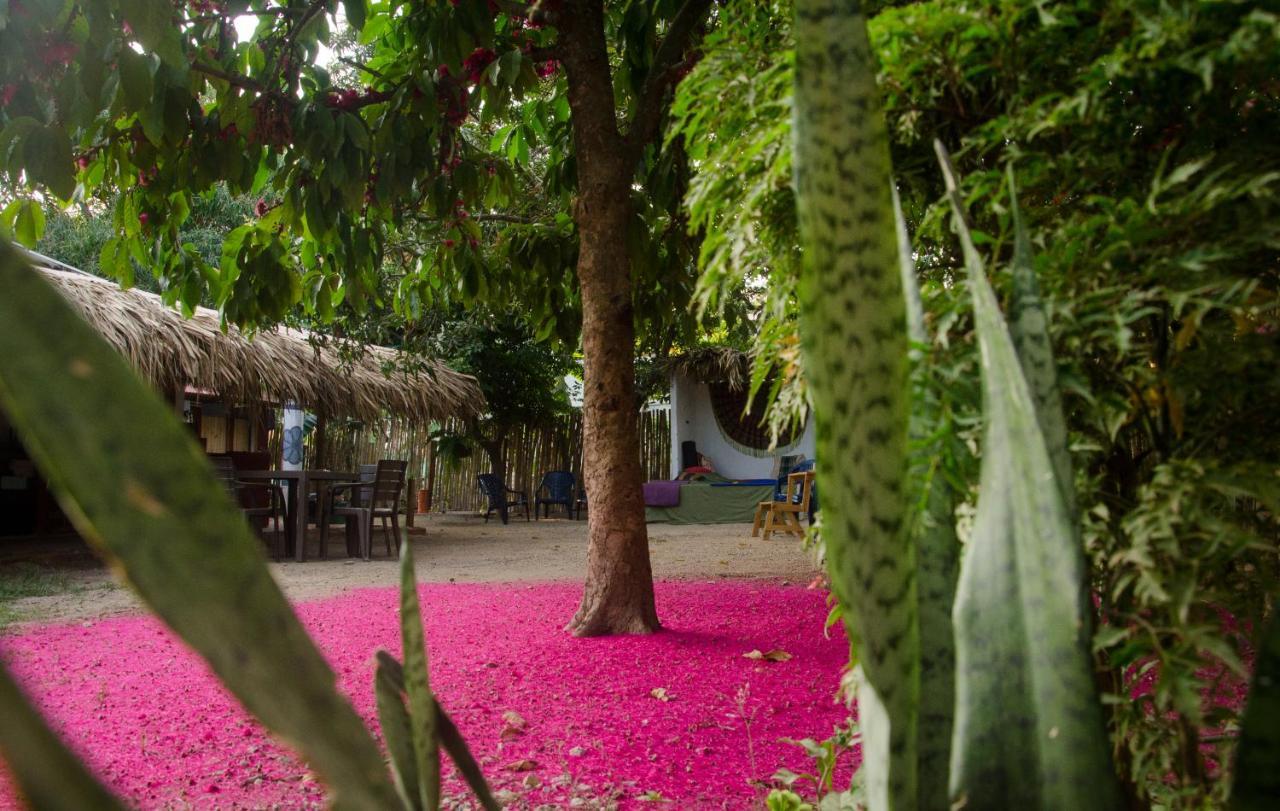 Hostal Corazon De Tagua Паломино Екстериор снимка