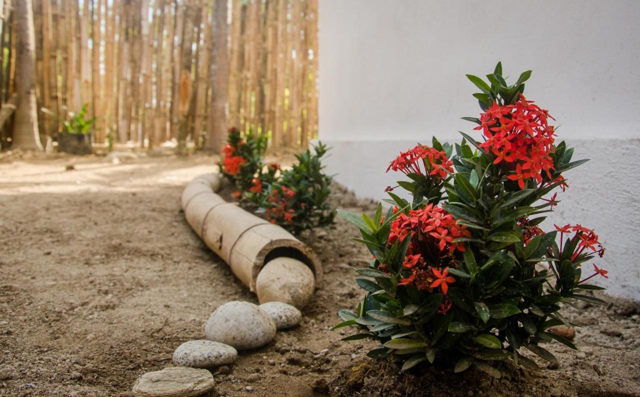 Hostal Corazon De Tagua Паломино Екстериор снимка
