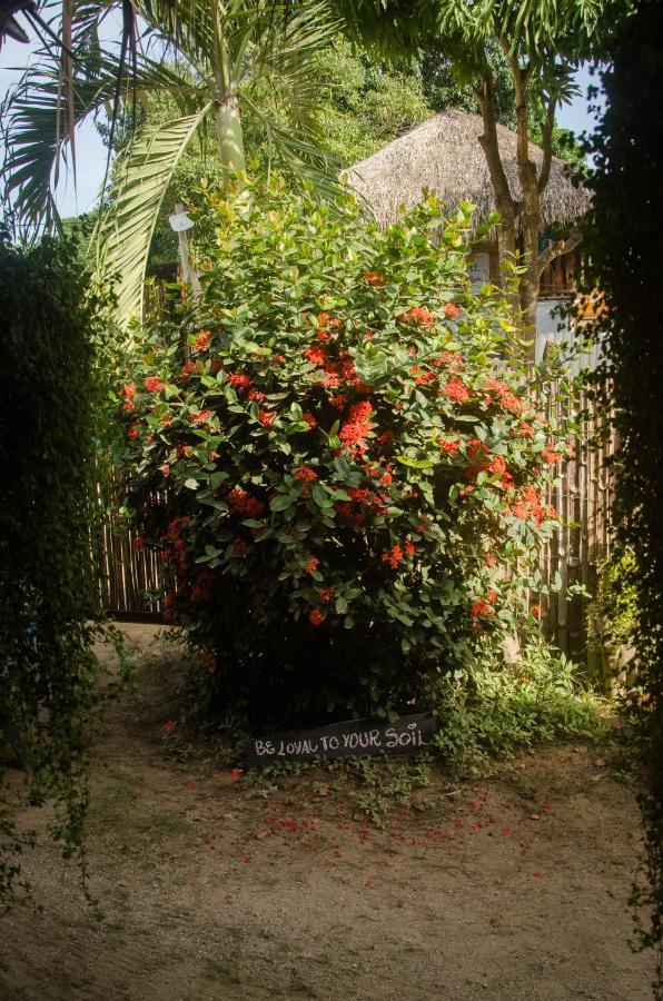 Hostal Corazon De Tagua Паломино Екстериор снимка